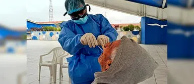 Minsa confirma más de 237 mil casos confirmados y 7,056 muertos por coronavirus en Perú Minsa confirma más de 237 mil casos confirmados y 7,056 muertos por coronavirus en Perú