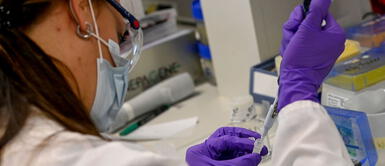 Investigadores argentinos desarrollaron un suero terapéutico anti COVID-19 Investigadores argentinos desarrollaron un suero terapéutico anti COVID-19