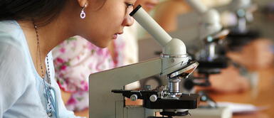 ¿Estás en quinto de secundaria? ¡Postula a la beca Mujeres en Ciencias! ¿Estás en quinto de secundaria? ¡Postula a la beca Mujeres en Ciencias!