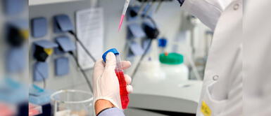 Bélgica autoriza el primer ensayo clínico de una vacuna contra la COVID-19 Bélgica autoriza el primer ensayo clínico de una vacuna contra la COVID-19