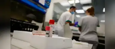 Científicos dan con posible tratamiento para la COVID-19: usan fármaco contra la osteoporosis Científicos dan con posible tratamiento para la COVID-19: usan fármaco contra la osteoporosis