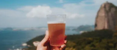 ¿Sin empleo? Empresa paga 20 mil dólares por caminar en el bosque y tomar cerveza ¿Sin empleo? Empresa paga 20 mil dólares por caminar en el bosque y tomar cerveza