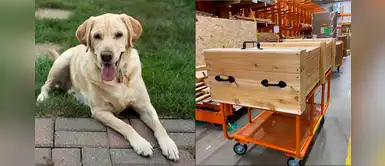 Ferretería construye gratis un ataúd para enterrar al perro de uno de sus clientes Ferretería construye gratis un ataúd para enterrar al perro de uno de sus clientes