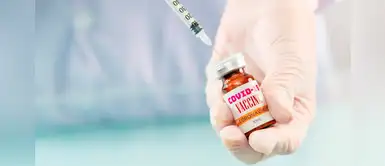 Científicos prueban con éxito una posible vacuna contra la COVID-19 en hámsters Científicos prueban con éxito una posible vacuna contra la COVID-19 en hámsters