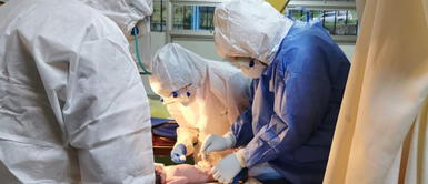 25 gestantes con coronavirus han alumbrado bebés sin ser contagiados 25 gestantes con coronavirus han alumbrado bebés sin ser contagiados