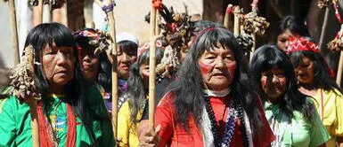 Realizarán pruebas rápidas de COVID-19 en 30 comunidades indígenas de Ucayali Realizarán pruebas rápidas de COVID-19 en 30 comunidades indígenas de Ucayali