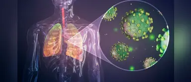 Científicos desarrollan un parásito molecular que podría extinguir la COVID-19 Científicos desarrollan un parásito molecular que podría extinguir la COVID-19