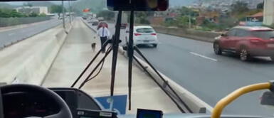 Pasajeros felicitan a chofer de bus que rescató a perro abandonado en medio de la pista Pasajeros felicitan a chofer de bus que rescató a perro abandonado en medio de la pista