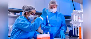 Anticuerpos monoclonales, posible tratamiento para erradicar la pandemia del COVID-19 Anticuerpos monoclonales, posible tratamiento para erradicar la pandemia del COVID-19