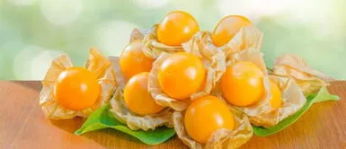 10 Beneficios del aguaymanto para salud 10 Beneficios del aguaymanto para salud