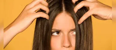 ¿Sientes más picazón en el cuero cabelludo? Con estos trucos podrás remediarlo ¿Sientes más picazón en el cuero cabelludo? Con estos trucos podrás remediarlo