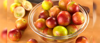 Conoce las frutas amazónicas que refuerzan el sistema inmunológico Conoce las frutas amazónicas que refuerzan el sistema inmunológico