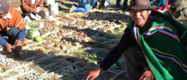 Conoce el importante rol de la agrobiodiversidad en la reactivación post pandemia Conoce el importante rol de la agrobiodiversidad en la reactivación post pandemia