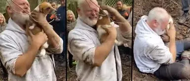 El reencuentro de un aciano con su perro conmociona las redes sociales El reencuentro de un aciano con su perro conmociona las redes sociales