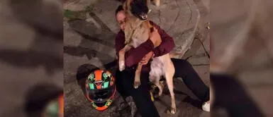 Mujer llena de esperanza a miles al encontrar a su perro luego de seis años Mujer llena de esperanza a miles al encontrar a su perro luego de seis años