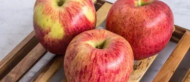 ¡Beneficios de la Manzana Delicia para reforzar tu sistema inmunológico este invierno! ¡Beneficios de la Manzana Delicia para reforzar tu sistema inmunológico este invierno!