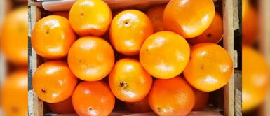 Beneficios de la naranja Huando para fortalecer el sistema inmunológico este invierno Beneficios de la naranja Huando para fortalecer el sistema inmunológico este invierno