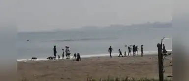 Denuncian que personas acuden a las playas, pese al estado de emergencia Denuncian que personas acuden a las playas, pese al estado de emergencia