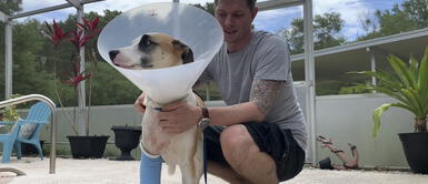 Joven vio que un cocodrilo estaba atacando a su perro y no dudó en lanzarse para rescatarlo Joven vio que un cocodrilo estaba atacando a su perro y no dudó en lanzarse para rescatarlo