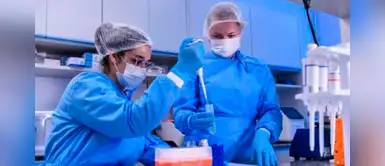 Científicos sobre el dióxido de cloro: "No hay post sobre sus efectos contra COVID-19" Científicos sobre el dióxido de cloro: "No hay post sobre sus efectos contra COVID-19"