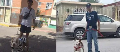 Brayan defiende a su perro pitbull: "No come ni sus croquetas y va a morder a un niño" Brayan defiende a su perro pitbull: "No come ni sus croquetas y va a morder a un niño"