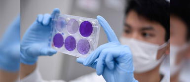 #BuenasNoticias: Vacuna contra el coronavirus da resultados positivos en humanos #BuenasNoticias: Vacuna contra el coronavirus da resultados positivos en humanos