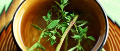 Mate de muña: el expectorante por naturaleza de las zonas altoandinas del Perú Mate de muña: el expectorante por naturaleza de las zonas altoandinas del Perú