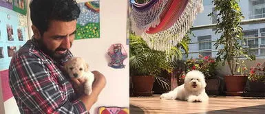 Fernando Díaz presenta a su perrita Pipoca y revela sus mejores anécdotas al lado de ella Fernando Díaz presenta a su perrita Pipoca y revela sus mejores anécdotas al lado de ella