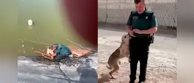 Perro abandonado agradece con afectuosos 'abrazos' a policías que lo salvaron de morir ahogado Perro abandonado agradece con afectuosos 'abrazos' a policías que lo salvaron de morir ahogado