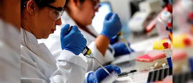 OMS revela que ninguna vacuna que se investiga contra la COVID-19 está suficientemente avanzada OMS revela que ninguna vacuna que se investiga contra la COVID-19 está suficientemente avanzada