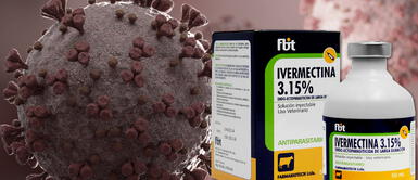 100 % de infectados con COVID-19 tratados con Ivermectina presentan mejoría 100 % de infectados con COVID-19 tratados con Ivermectina presentan mejoría