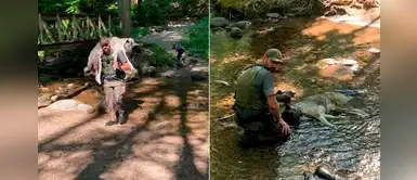 Hombre lleva a un perro deshidratado sobre sus hombros hasta un arroyo y logra salvarlo Hombre lleva a un perro deshidratado sobre sus hombros hasta un arroyo y logra salvarlo
