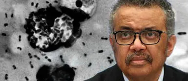 OMS asegura que la peste bubónica "no constituye una amenaza grave" en China OMS asegura que la peste bubónica "no constituye una amenaza grave" en China