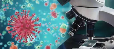 Cepa actual de coronavirus se propaga más rápido que la original, según estudio Cepa actual de coronavirus se propaga más rápido que la original, según estudio