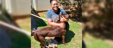 Mujer conmueve a miles al reencontrarse con su perro perdido tras dos años Mujer conmueve a miles al reencontrarse con su perro perdido tras dos años