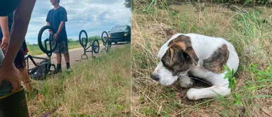 Valerosos adolescentes salvan a un perro atropellado que encontraron a un lado de la pista Valerosos adolescentes salvan a un perro atropellado que encontraron a un lado de la pista