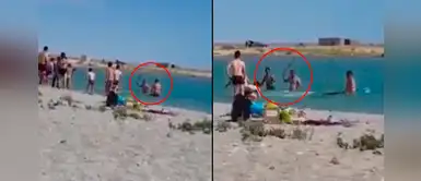 Denuncian a grupo de bañistas que golpearon a una foca para sacarse fotografías con ella Denuncian a grupo de bañistas que golpearon a una foca para sacarse fotografías con ella