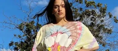 Nike ficha a Rosalía para que sea la embajadora de su diseño más icónico Nike ficha a Rosalía para que sea la embajadora de su diseño más icónico