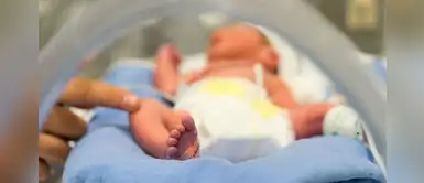 Madre pide ayuda para su bebé que se aferra a la vida: "Vendí mi casa y ya no tengo nada" Madre pide ayuda para su bebé que se aferra a la vida: "Vendí mi casa y ya no tengo nada"