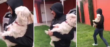 Joven le enseña a su perro "cómo pedir ayuda" cuando intenten secuestrarlo Joven le enseña a su perro "cómo pedir ayuda" cuando intenten secuestrarlo