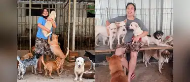 Mujer adoptó a más de 1,000 perros que rescató de carniceros durante la pandemia Mujer adoptó a más de 1,000 perros que rescató de carniceros durante la pandemia