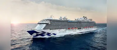 Suicidios y huelgas de hambre, el drama que viven en los cruceros varados por coronavirus Suicidios y huelgas de hambre, el drama que viven en los cruceros varados por coronavirus