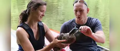 Grupo de animalistas rescataron a un pato con una flecha atravesada en su cabeza y cuello Grupo de animalistas rescataron a un pato con una flecha atravesada en su cabeza y cuello