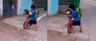 Niño coloca mascarilla a su perro para que lo acompañe a la tienda y prevenir juntos el coronavirus Niño coloca mascarilla a su perro para que lo acompañe a la tienda y prevenir juntos el coronavirus