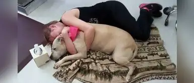Mujer se tira al suelo y abraza a su perro durante sus últimos minutos de vida | FOTOS Mujer se tira al suelo y abraza a su perro durante sus últimos minutos de vida | FOTOS