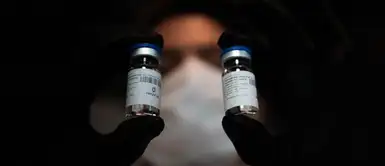 Argentina iniciará ensayos clínicos en pacientes COVID-19 a base de suero de caballos Argentina iniciará ensayos clínicos en pacientes COVID-19 a base de suero de caballos