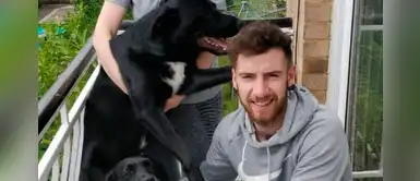 Joven rescató y adoptó a un perro que era golpeado salvajemente por una pandilla Joven rescató y adoptó a un perro que era golpeado salvajemente por una pandilla