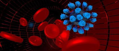 La COVID-19 realiza cambios que hacen que las células no lo reconozcan La COVID-19 realiza cambios que hacen que las células no lo reconozcan