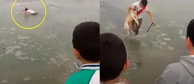 Valeroso joven arriesgó su vida para rescatar a un perro en lago congelado | VIDEO Valeroso joven arriesgó su vida para rescatar a un perro en lago congelado | VIDEO
