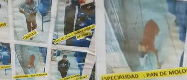 Comerciantes identifican a perro ladrón y colocan su foto junto a la de otros delincuentes Comerciantes identifican a perro ladrón y colocan su foto junto a la de otros delincuentes